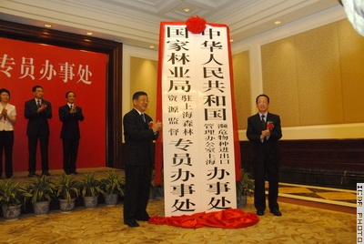 400×268
