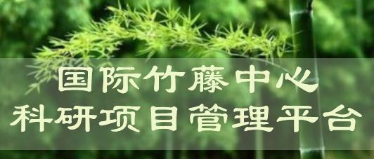 竹藤中心科研项目管理平台