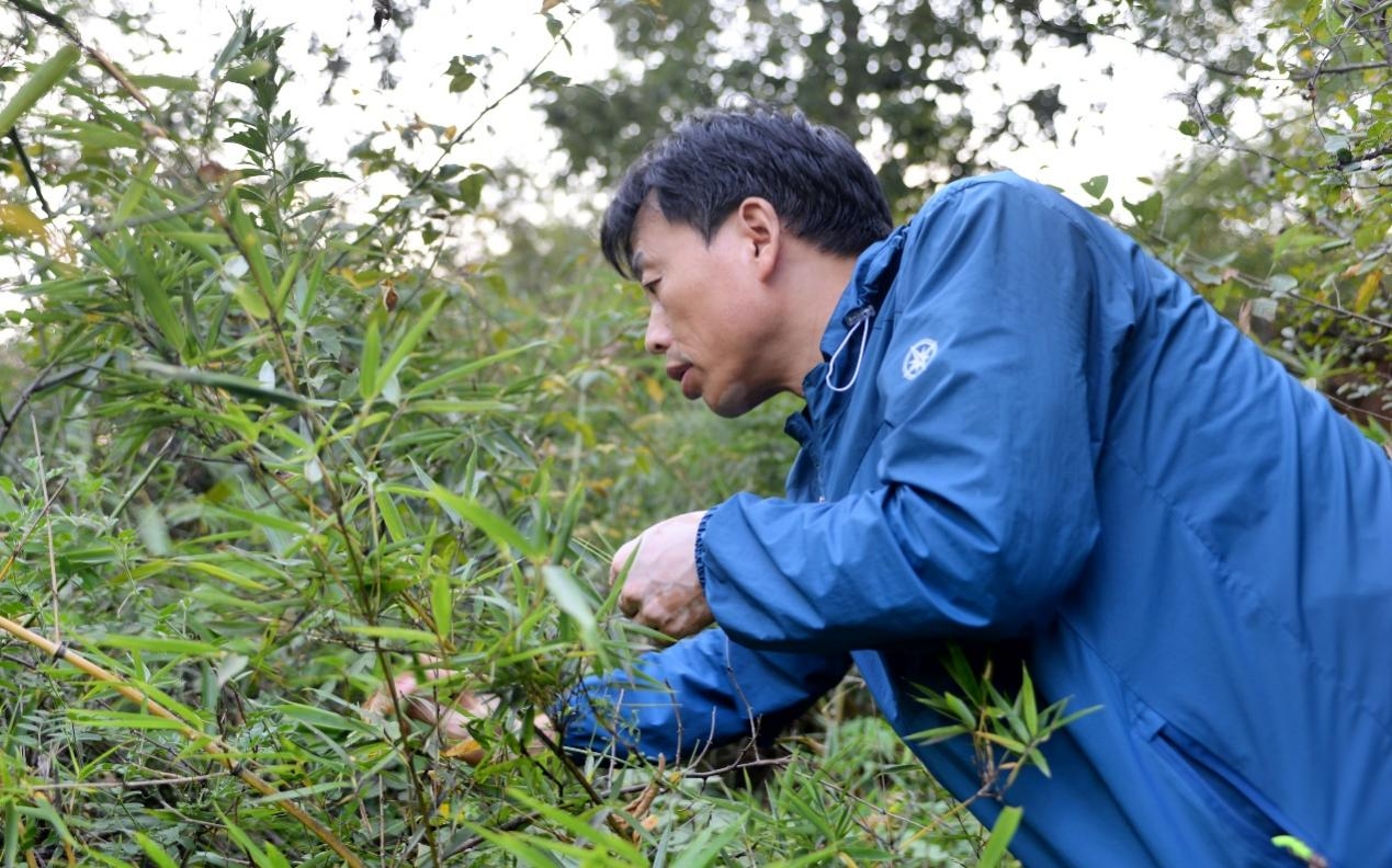 202501171032061201.png 202501171032061201.png