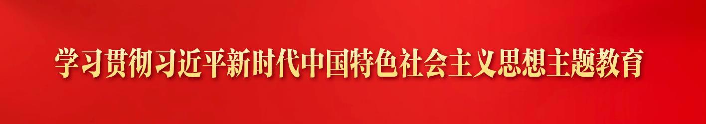 学习贯彻习近平新时代中国特色社会主义思想主题教育