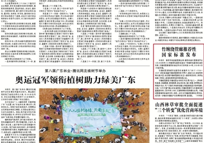 竹缠绕管廊推荐性国家标准发布