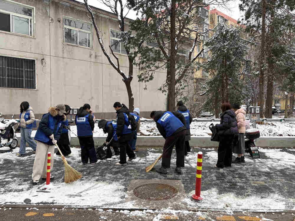 青春践初心 志愿暖望京——中心团委联合属地社区共同开展学雷锋志愿服务活动-2