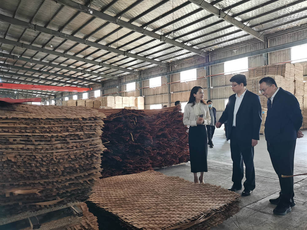 覃主任现场调研