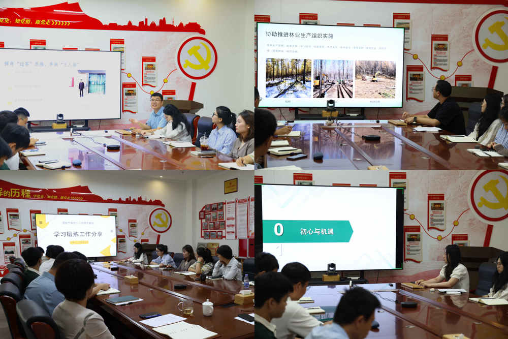 国际竹藤中心三亚研究基地召开挂职（学习）锻炼座谈交流会暨青年成长论坛-2-讨论交流