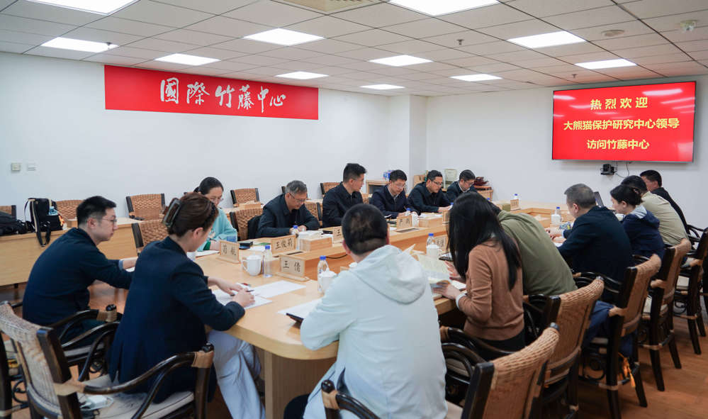 大熊猫保护研究中心来访国际竹藤中心-1
