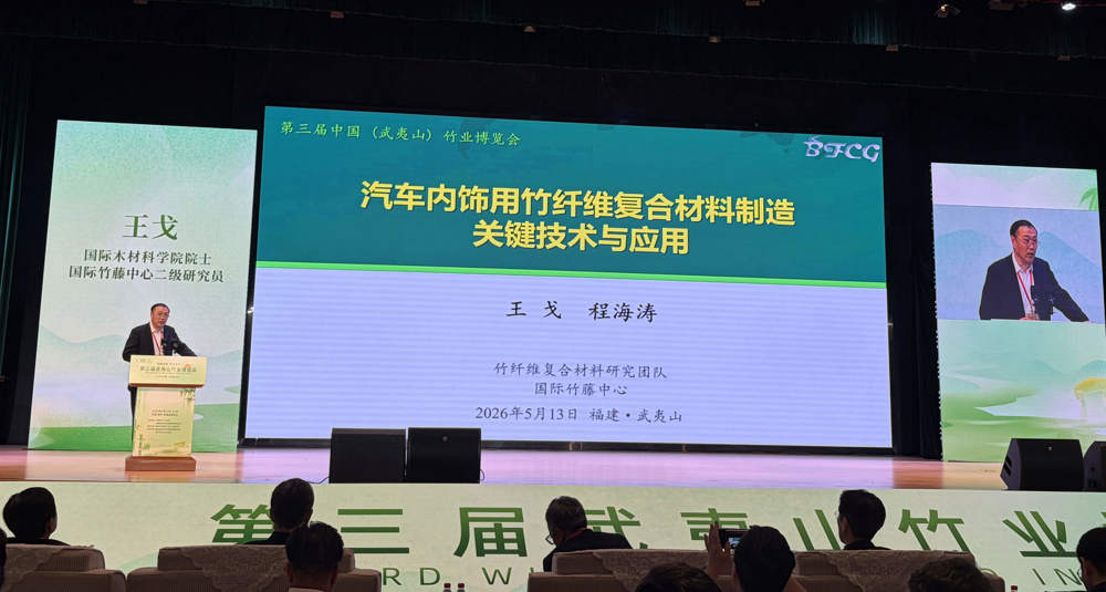 王戈院士作报告