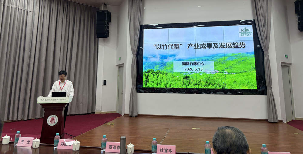 覃道春研究员作报告