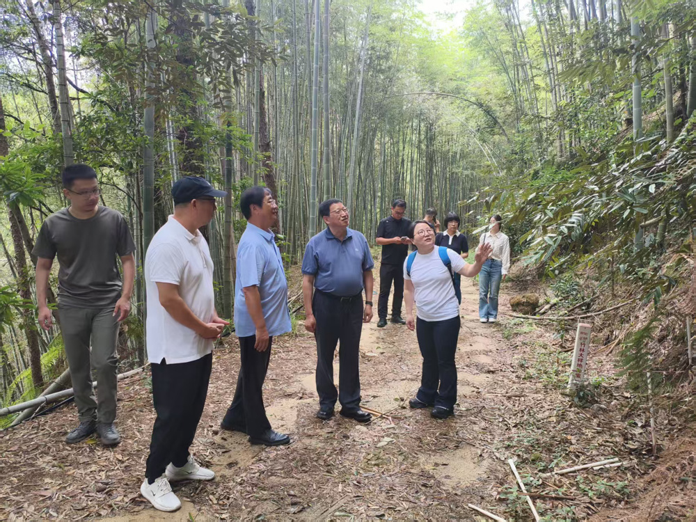国际竹藤中心受邀参加第二十一届海峡两岸（三明）林业博览会暨2026年永安竹博会-4-实地调研永安竹林生态系统定位观测站建设